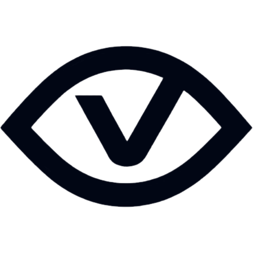Vizion Digital Agency